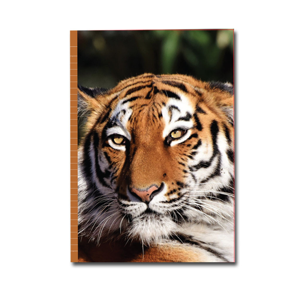 PaperClub 53372 A4 Designer Register Notebook | SoftBound Notebooks Size A4 Large 180 Pages. Superior Notebook For Students | School Supplies for Both Official and Personal use | Pack Of 12 Just in 1200Rs            Rs
